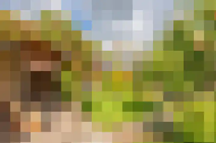 Cypreslaan 4 Exloo thumbnail 49