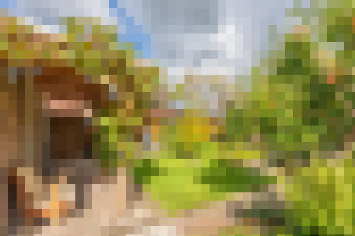 Cypreslaan 4 Exloo thumbnail 49