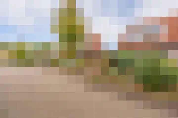 Cypreslaan 4 Exloo thumbnail 5