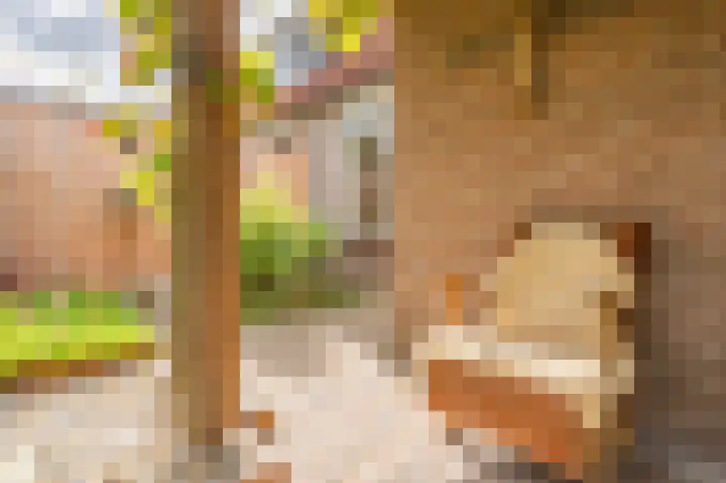 Cypreslaan 4 Exloo thumbnail 50