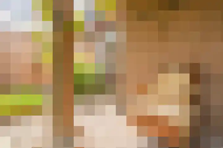 Cypreslaan 4 Exloo thumbnail 50