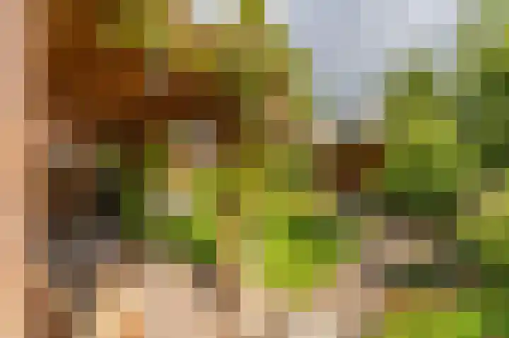 Cypreslaan 4 Exloo thumbnail 51