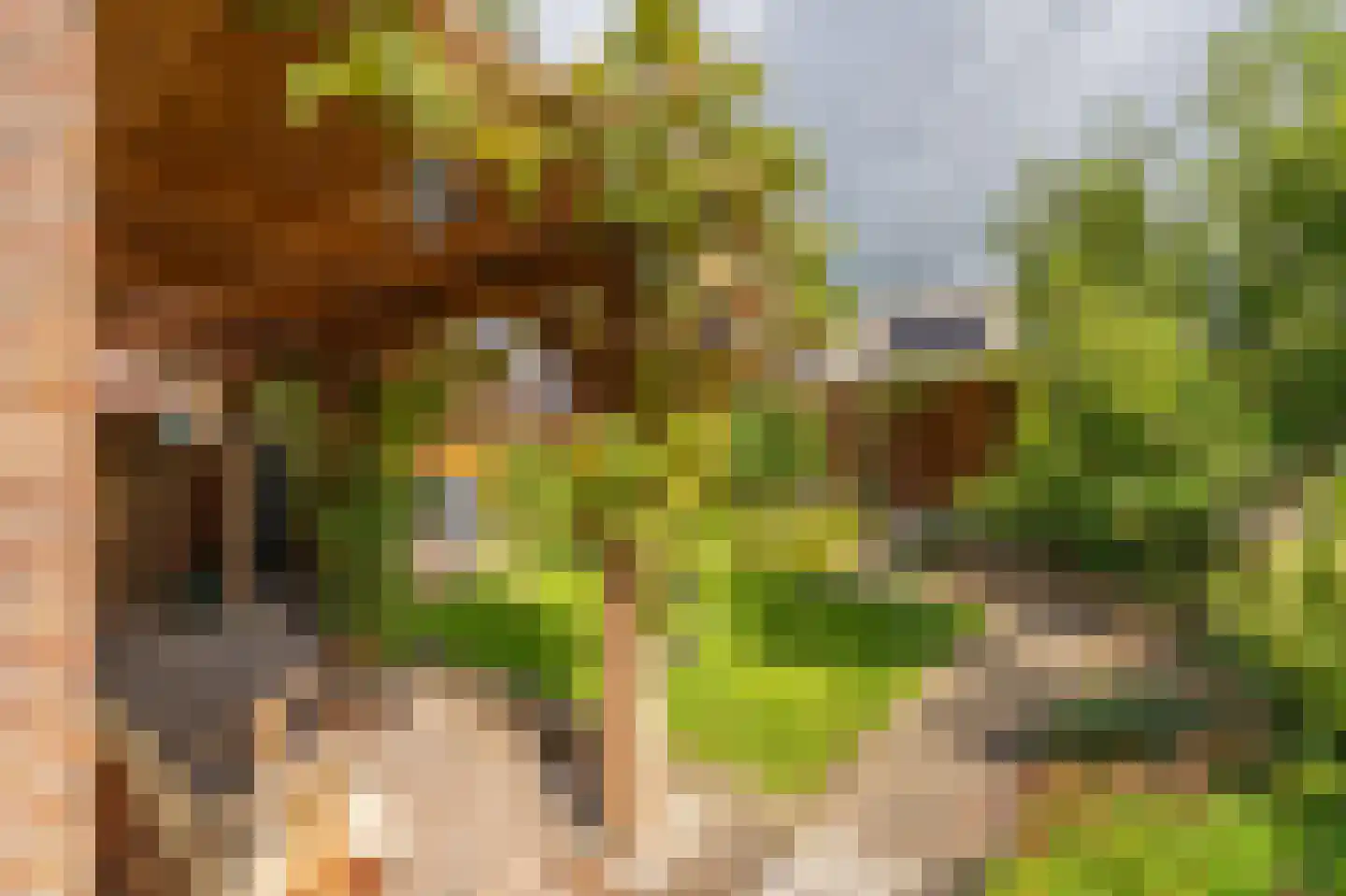 Cypreslaan 4 Exloo thumbnail 51