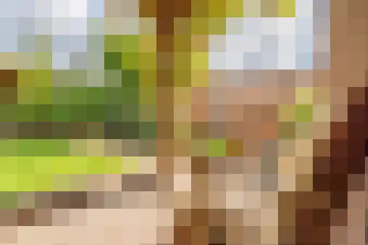 Cypreslaan 4 Exloo thumbnail 52