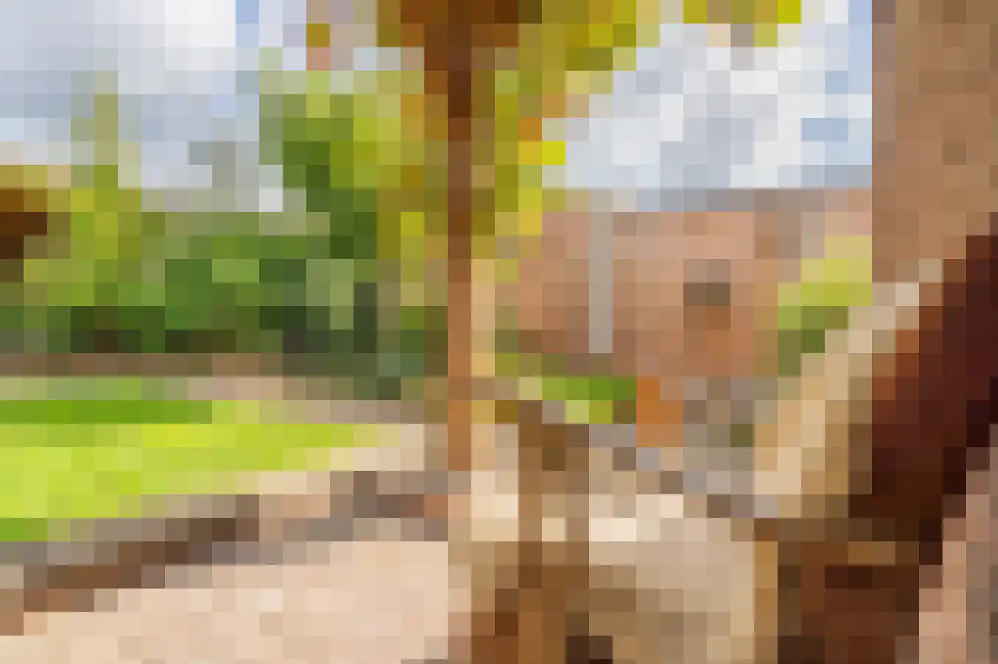 Cypreslaan 4 Exloo thumbnail 52
