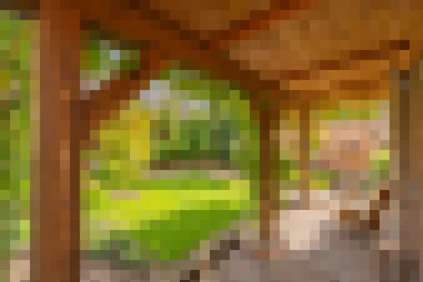 Cypreslaan 4 Exloo thumbnail 53