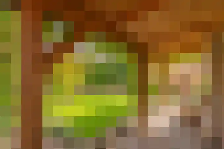 Cypreslaan 4 Exloo thumbnail 53