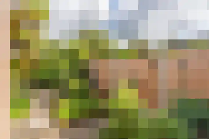 Cypreslaan 4 Exloo thumbnail 54
