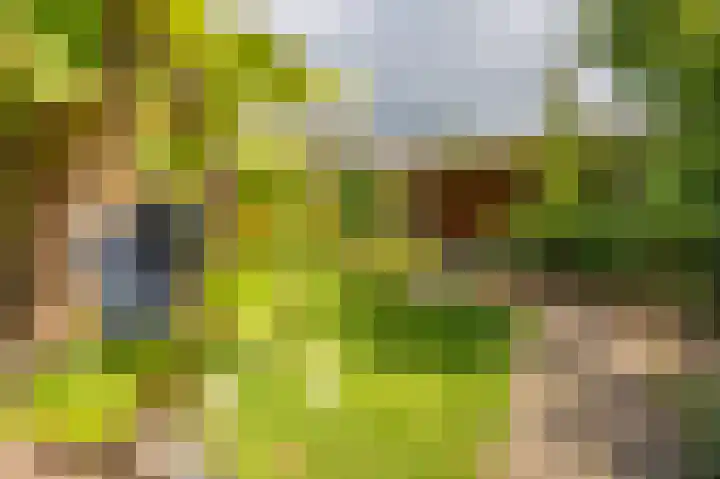Cypreslaan 4 Exloo thumbnail 55