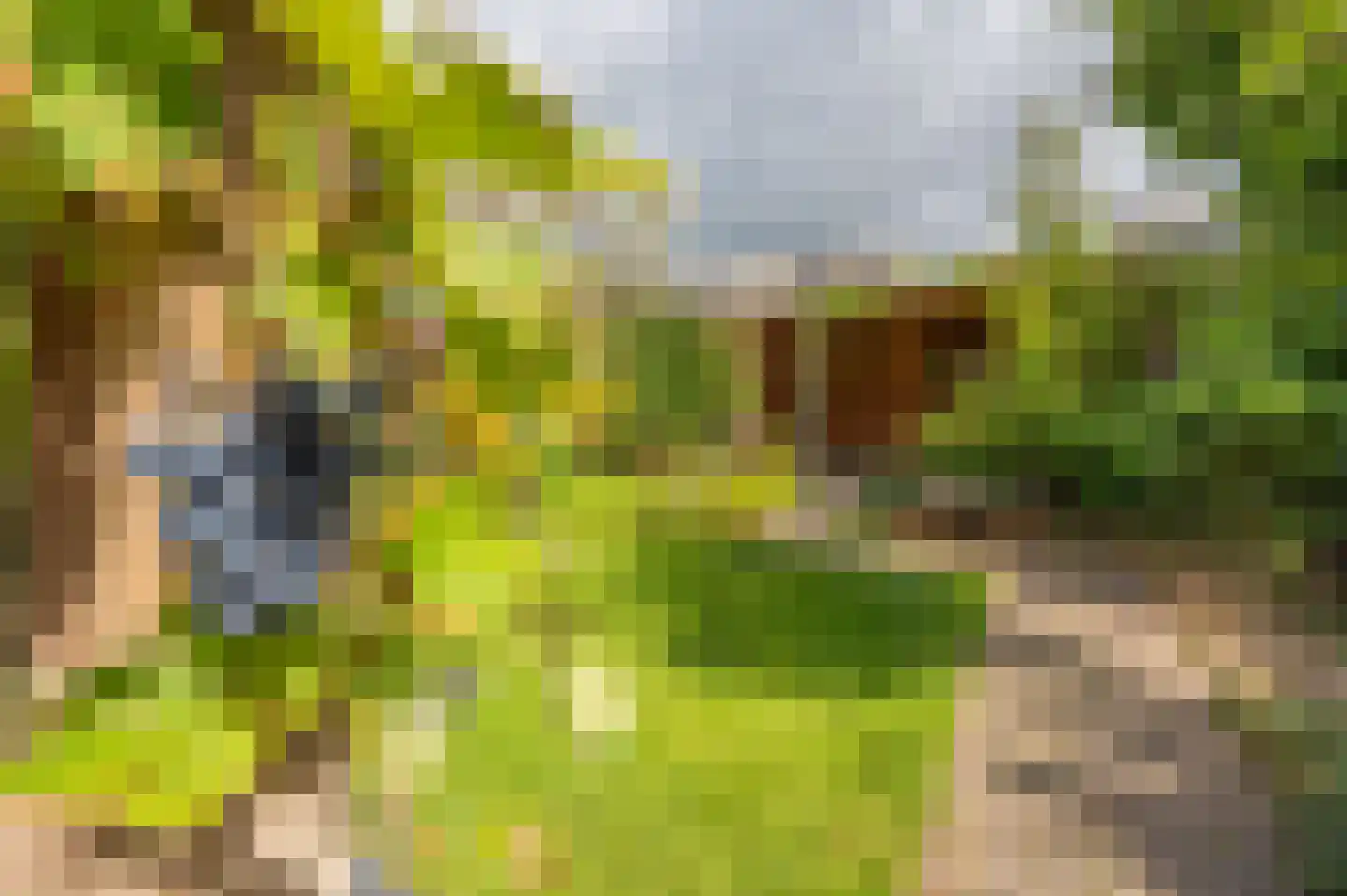 Cypreslaan 4 Exloo thumbnail 55