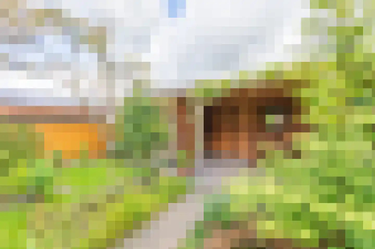 Cypreslaan 4 Exloo thumbnail 56