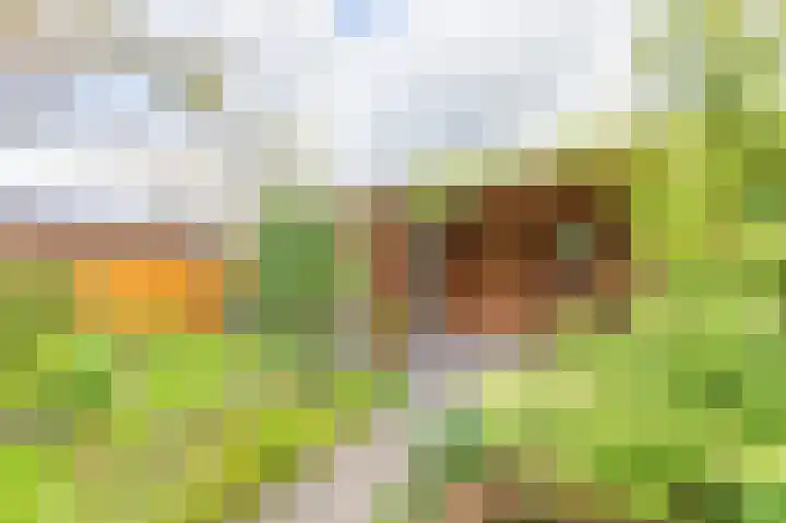 Cypreslaan 4 Exloo thumbnail 56