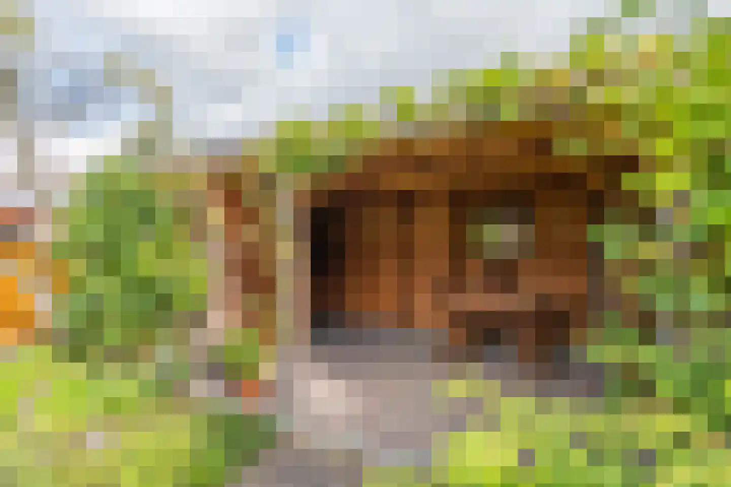 Cypreslaan 4 Exloo thumbnail 57