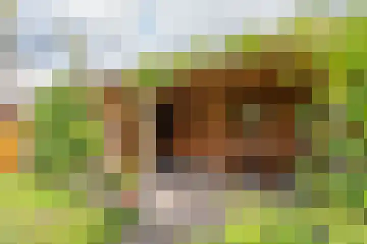 Cypreslaan 4 Exloo thumbnail 57