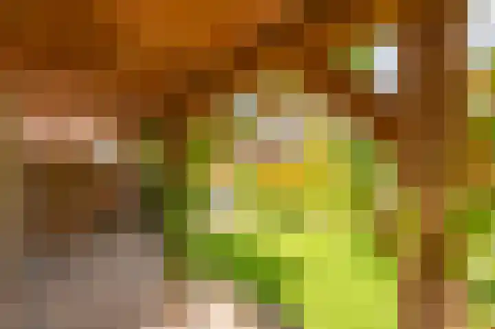 Cypreslaan 4 Exloo thumbnail 58