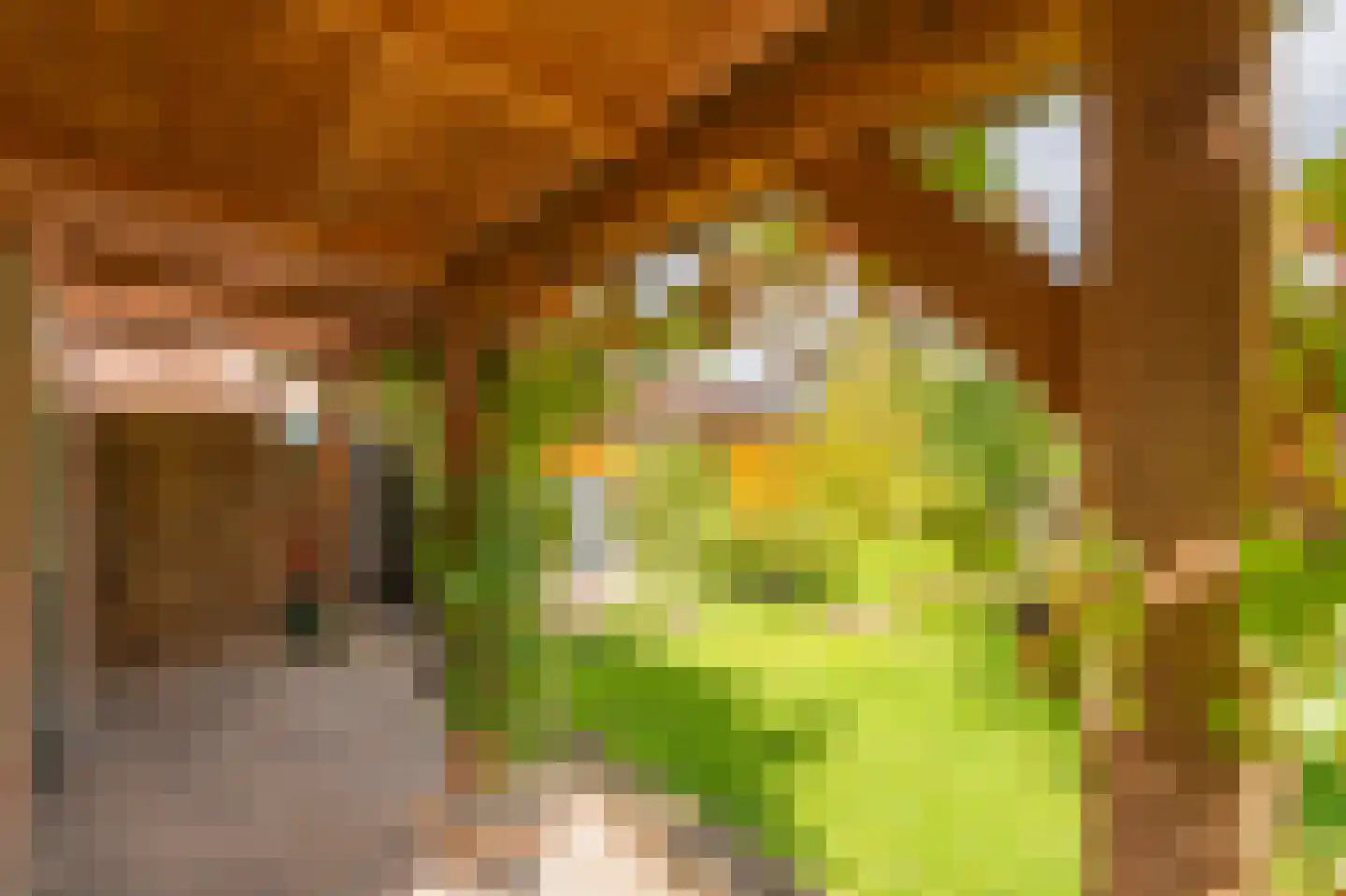 Cypreslaan 4 Exloo thumbnail 58