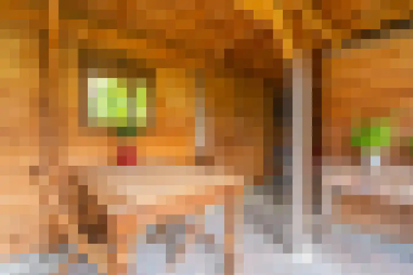 Cypreslaan 4 Exloo thumbnail 59