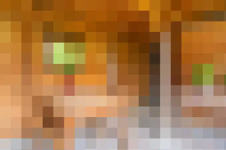 Cypreslaan 4 Exloo thumbnail 59