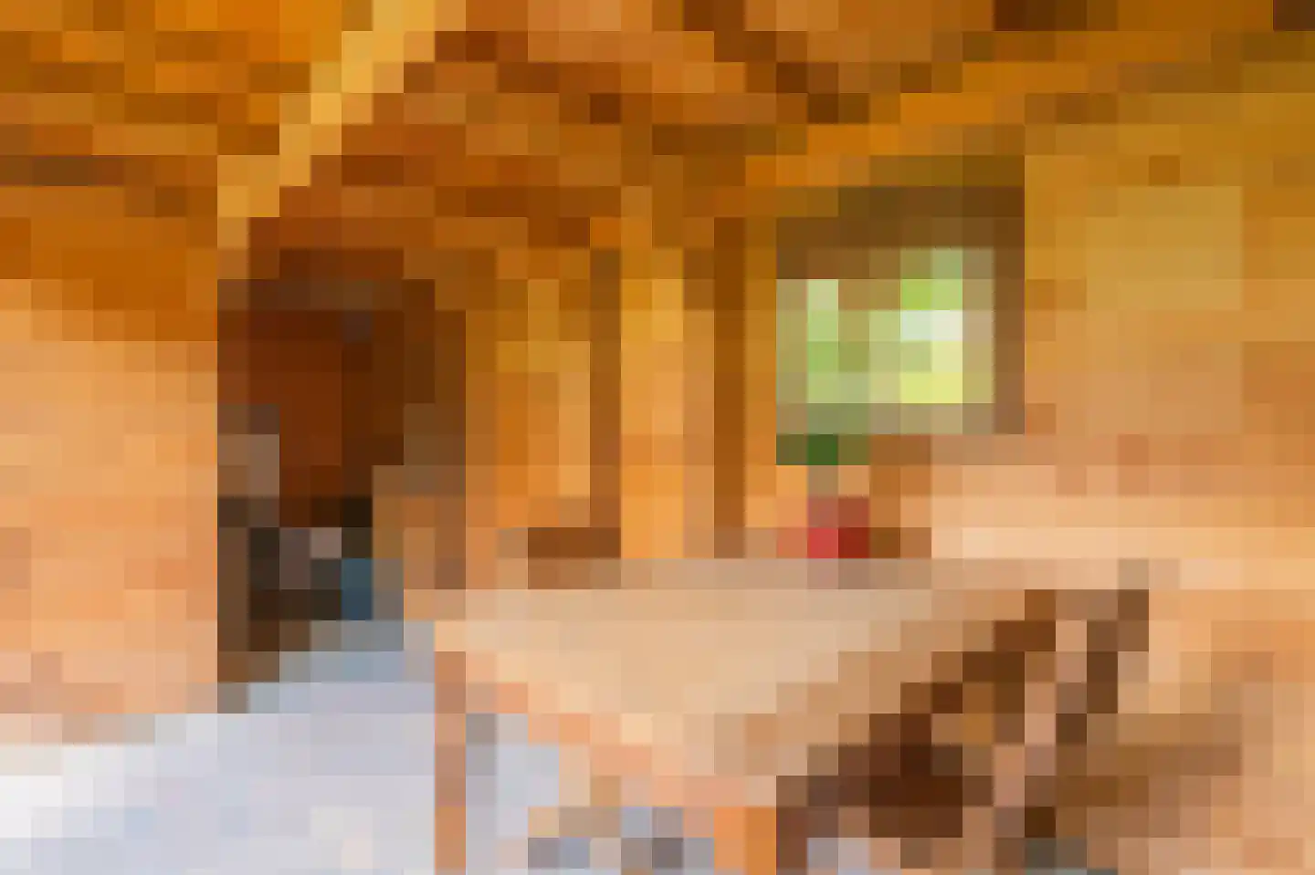 Cypreslaan 4 Exloo thumbnail 60