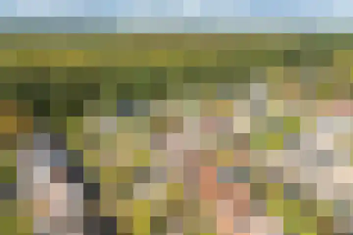 Cypreslaan 4 Exloo thumbnail 62