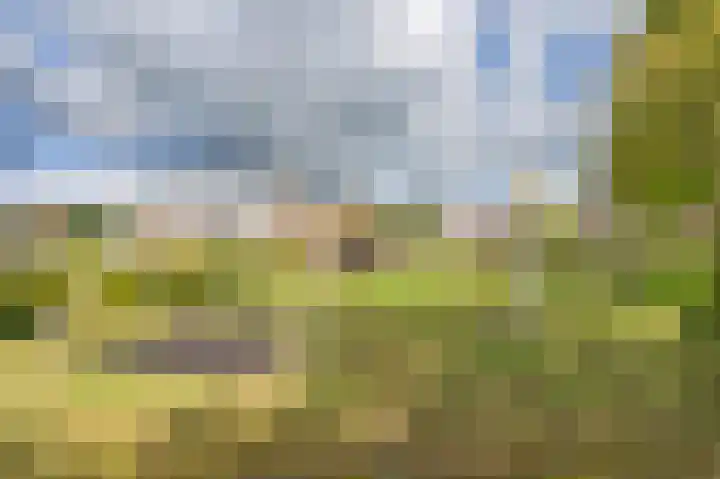 Cypreslaan 4 Exloo thumbnail 63