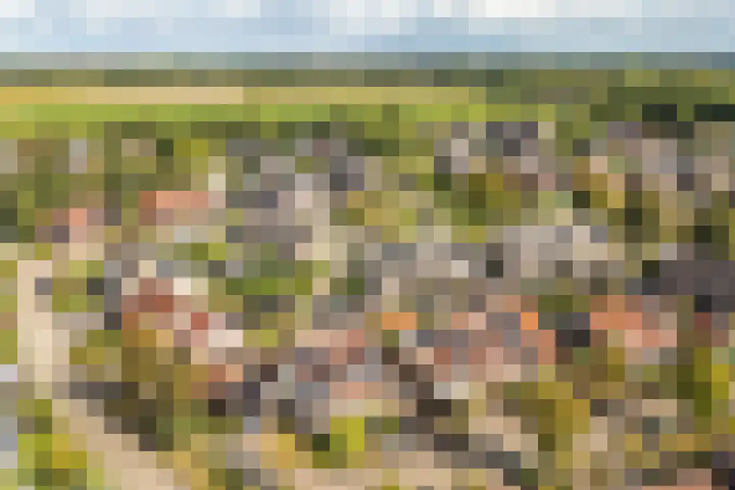 Cypreslaan 4 Exloo thumbnail 64