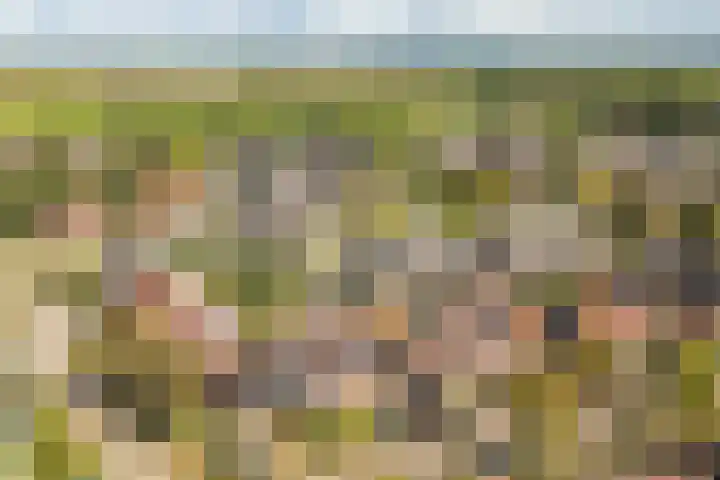 Cypreslaan 4 Exloo thumbnail 64