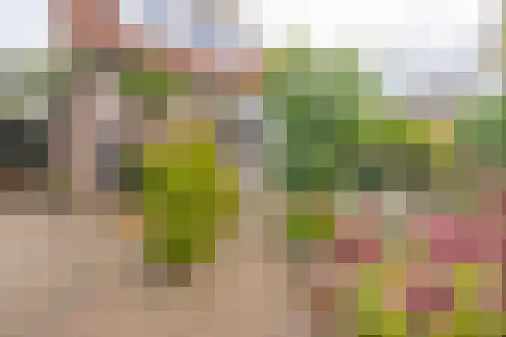 Cypreslaan 4 Exloo thumbnail 7