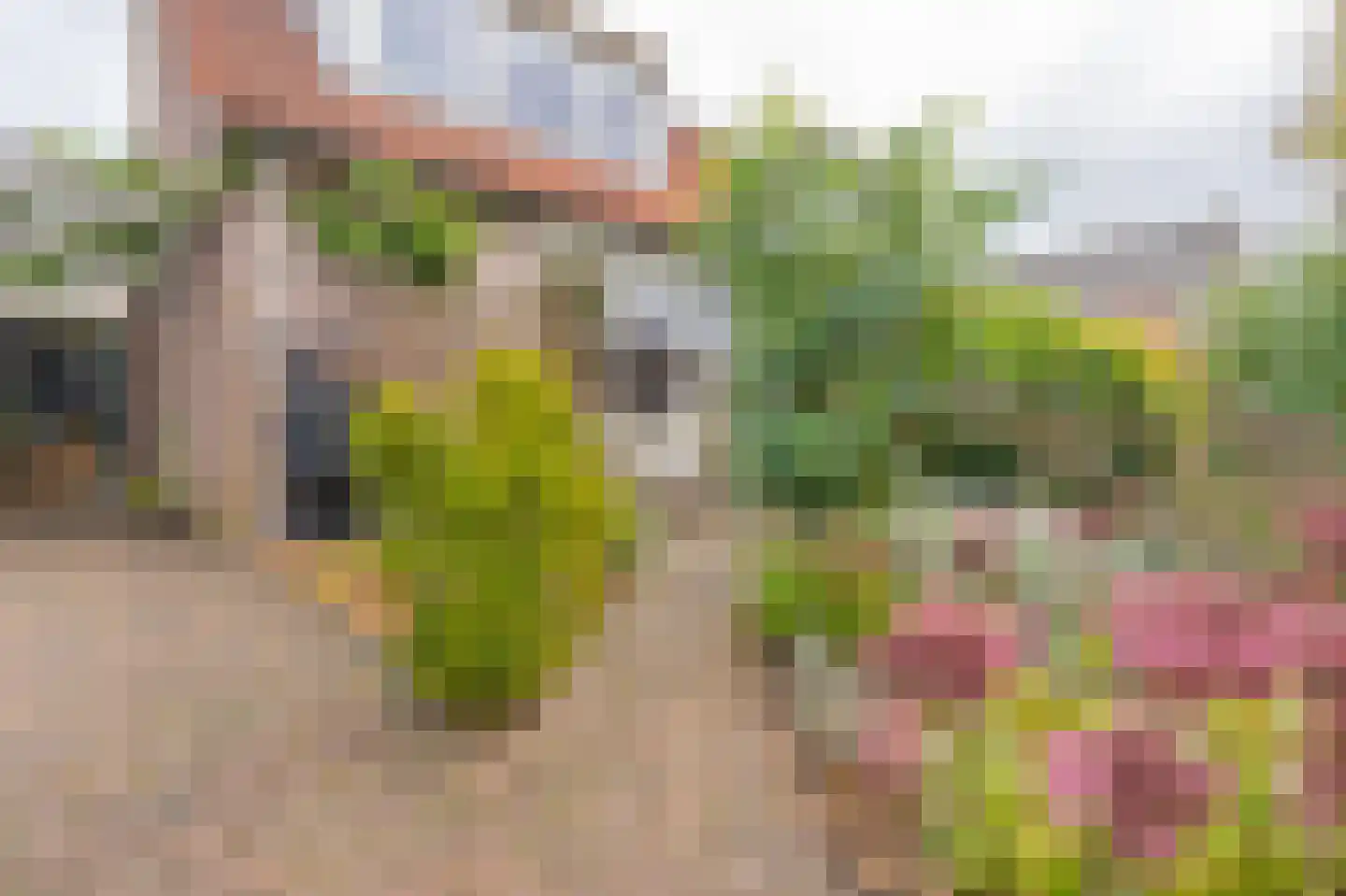 Cypreslaan 4 Exloo thumbnail 7