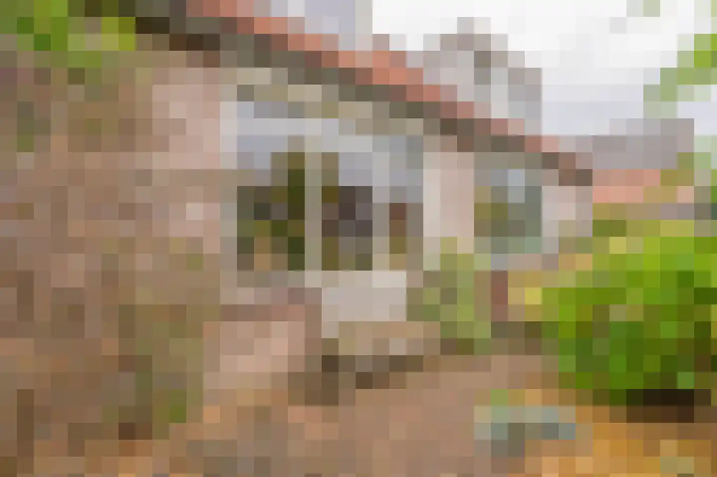 Cypreslaan 4 Exloo thumbnail 8