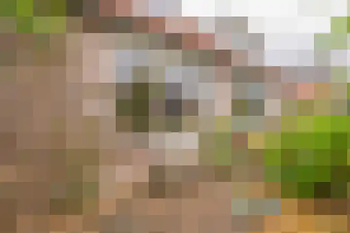 Cypreslaan 4 Exloo thumbnail 8