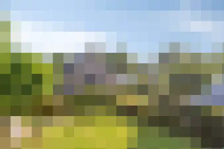 Cypressenhoven 17 Maastricht thumbnail 4