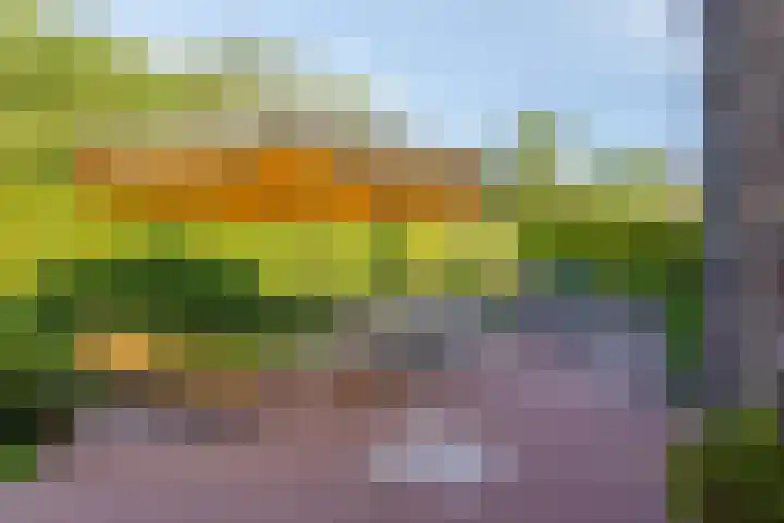 Cypressenhoven 17 Maastricht thumbnail 42