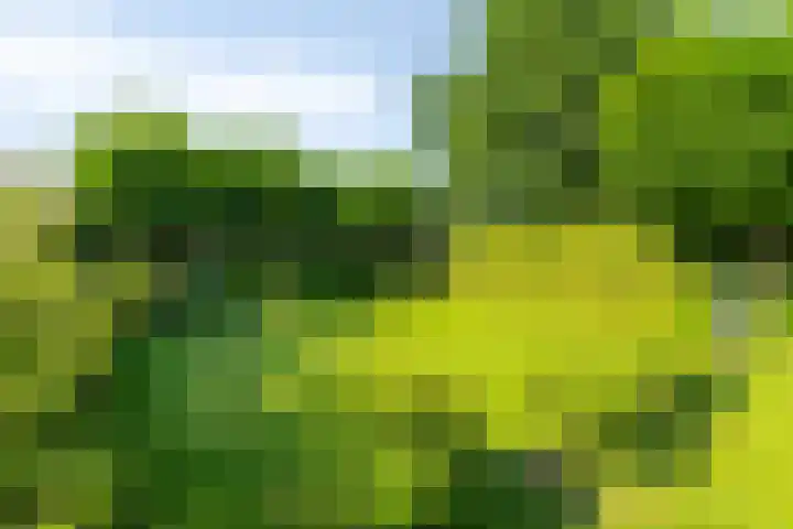 Cypressenhoven 17 Maastricht thumbnail 43