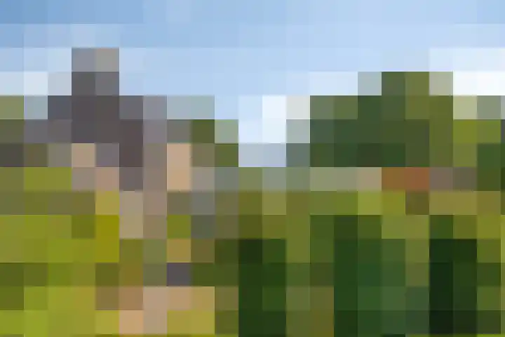 Cypressenhoven 17 Maastricht thumbnail 5
