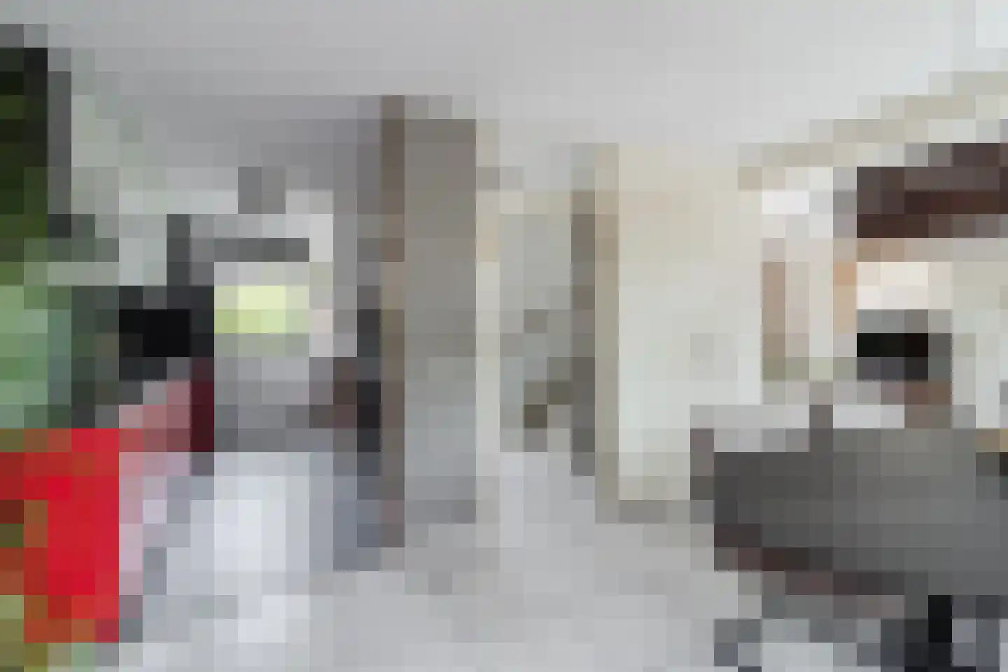 Cypressenlaan 11 Papendrecht thumbnail 13
