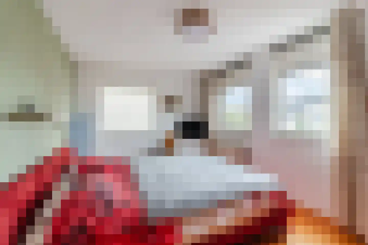 Cypressenlaan 11 Papendrecht thumbnail 18