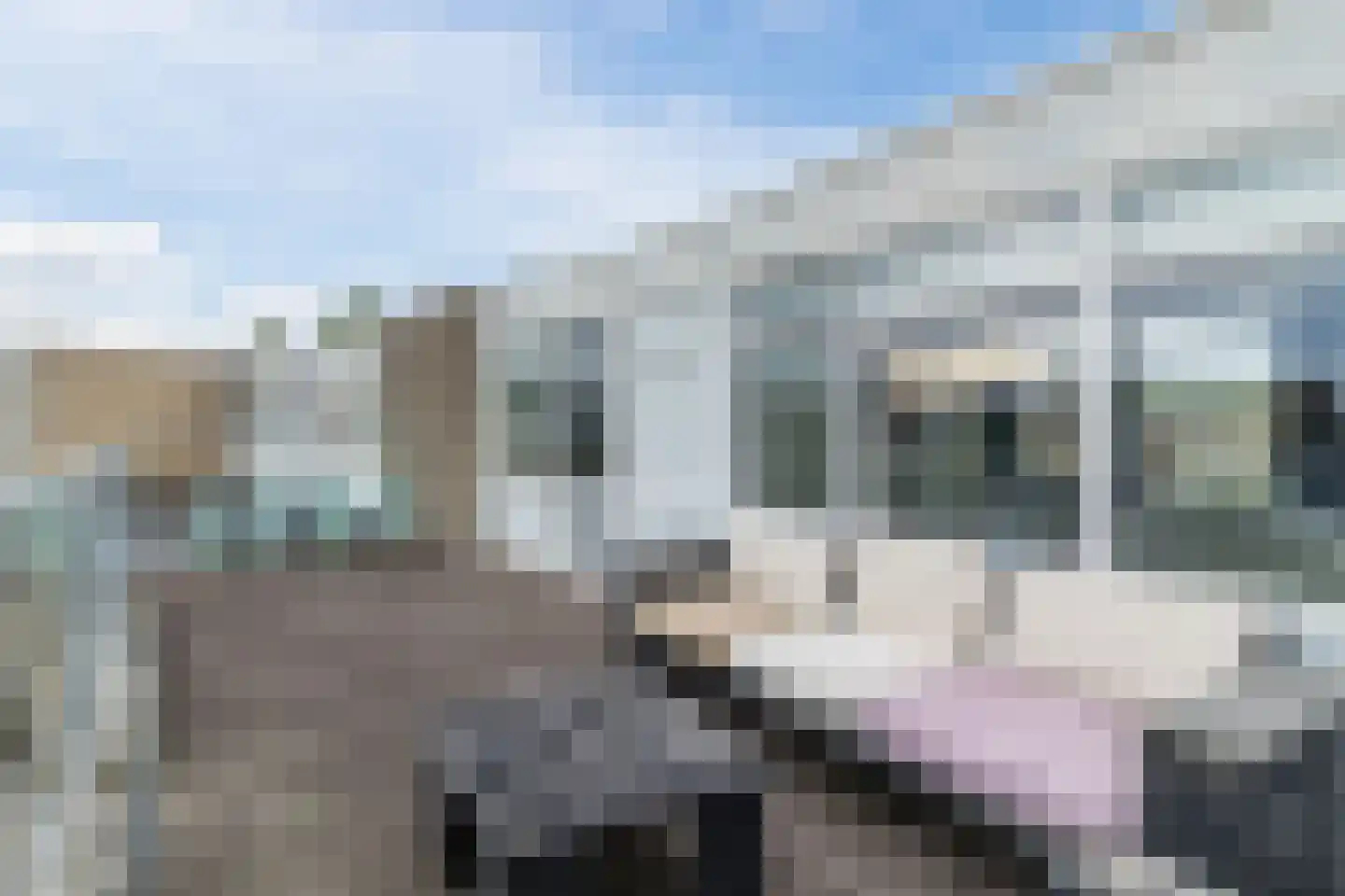 Cypressenlaan 11 Papendrecht thumbnail 34
