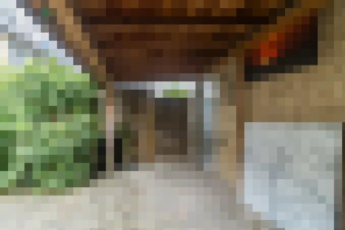 Cypressenlaan 11 Papendrecht thumbnail 41