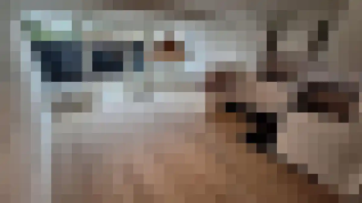 Cypressenlaan 19 Sint-Michielsgestel thumbnail 5