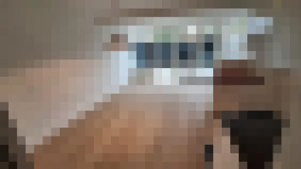 Cypressenlaan 19 Sint-Michielsgestel thumbnail 6