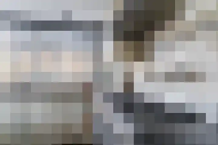 Cypressenlaan 20 Heerhugowaard thumbnail 15
