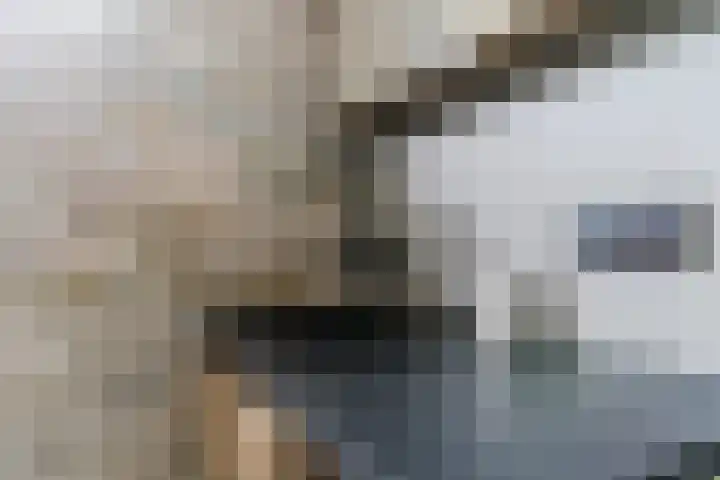 Cypressenlaan 20 Heerhugowaard thumbnail 28