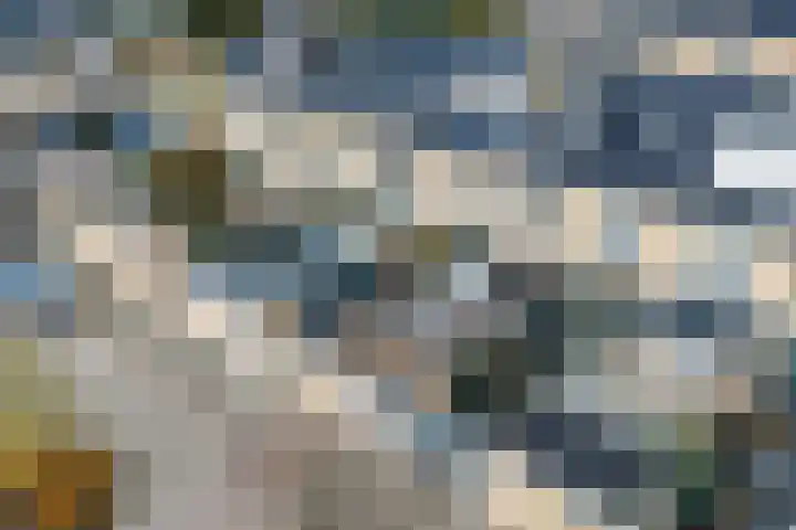 Cypressenlaan 20 Heerhugowaard thumbnail 50