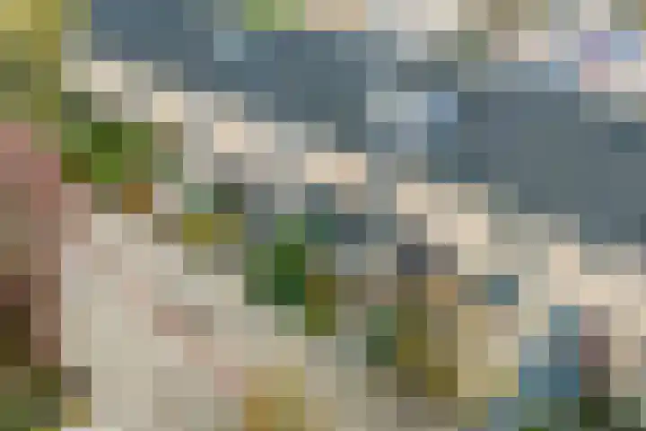 Cypressenlaan 20 Heerhugowaard thumbnail 51