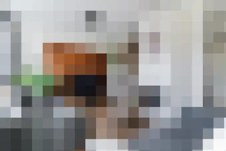 Cypressenlaan 20 Heerhugowaard thumbnail 7