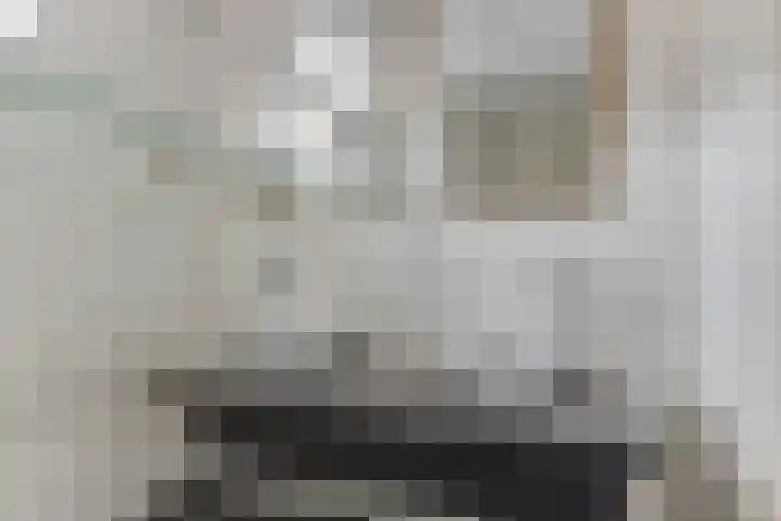 Cypressenlaan 22 Heerhugowaard thumbnail 27