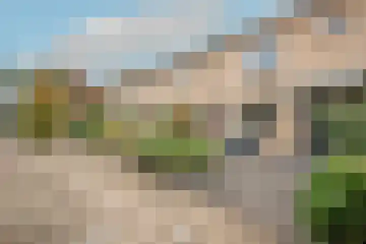 Cypressenlaan 22 Heerhugowaard thumbnail 52
