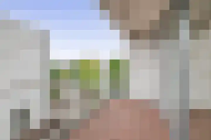 Cypressenlaan 23 Sprang-Capelle thumbnail 20