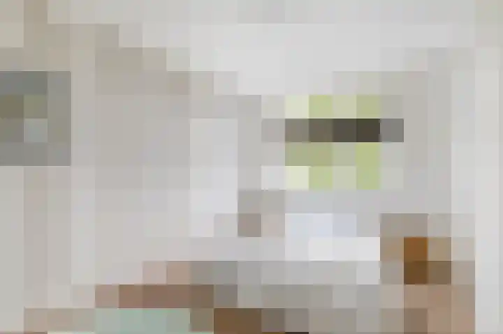 Cypressenlaan 23 Sprang-Capelle thumbnail 22